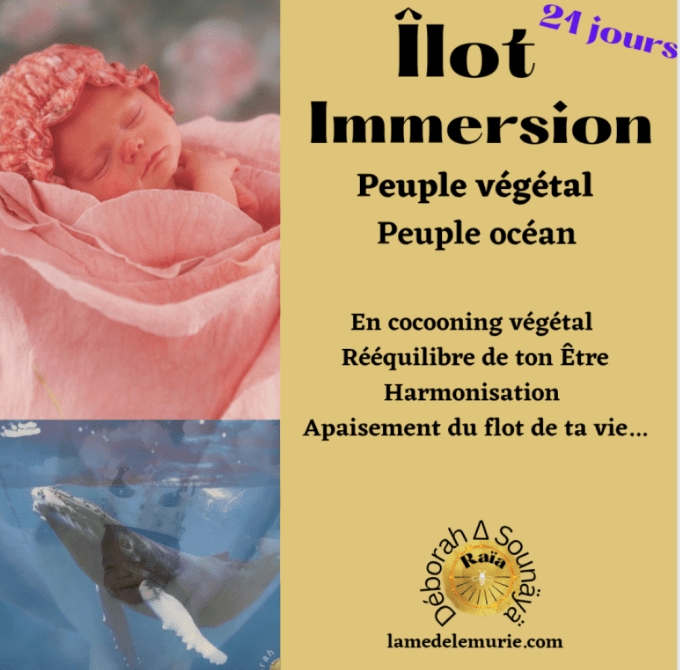 Îlot ~ Immersion 21 jours 