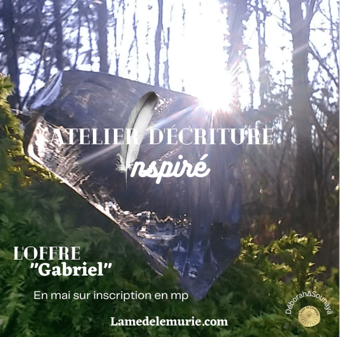 Offre GABRIEL