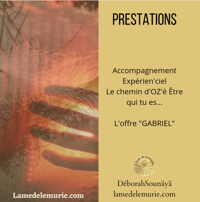 Offre GABRIEL